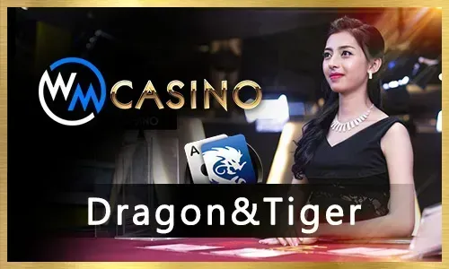 Winning Bingo Strategies for ph365 Players